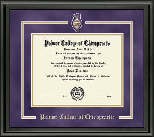 Image of 18 NEW SPIRIT MASTERPIECE DIPLOMA FRAME CREST MEDALLION MIDNIGHT